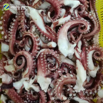 Cooked Style and Octopus Variety Squid Tentacles